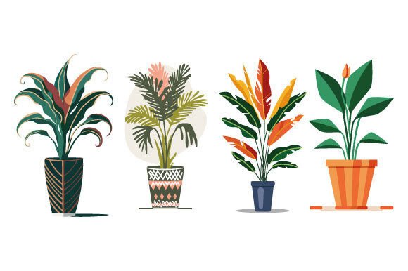 HOUSE PLANTS SVG Review